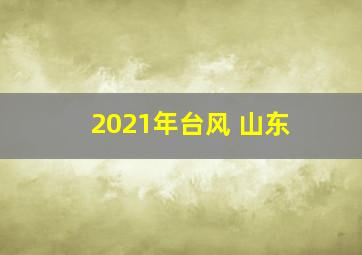 2021年台风 山东